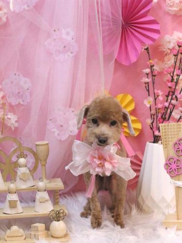 20250305そらちゃん